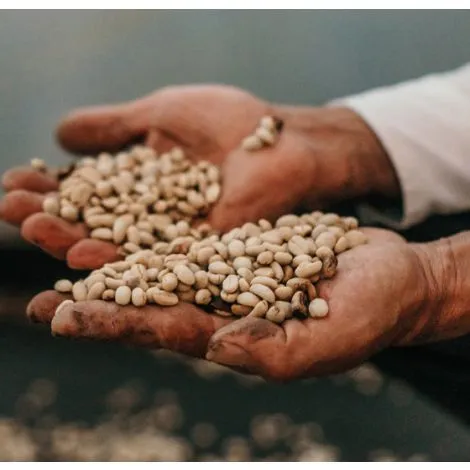 Colombia Selección Planadas