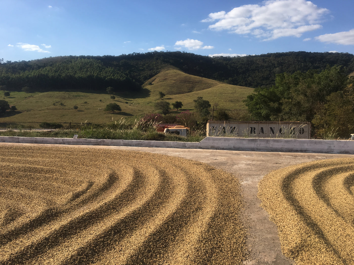 Castanhas do Brazil, Cocatrel Cooperative