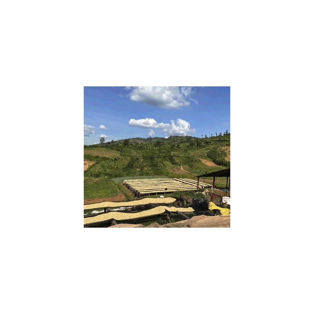 Burundi FW15+ Shikankoni Hill