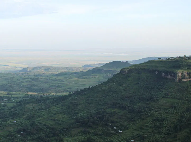 Uganda – Wanale Ridge (Fully Washed)