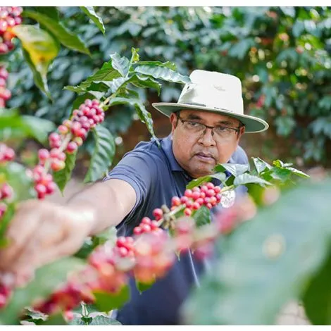 Ratnagiri Reserve – Hemavathi