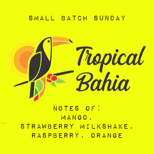 Brazil Tropical Bahia - Small Batch Sunday