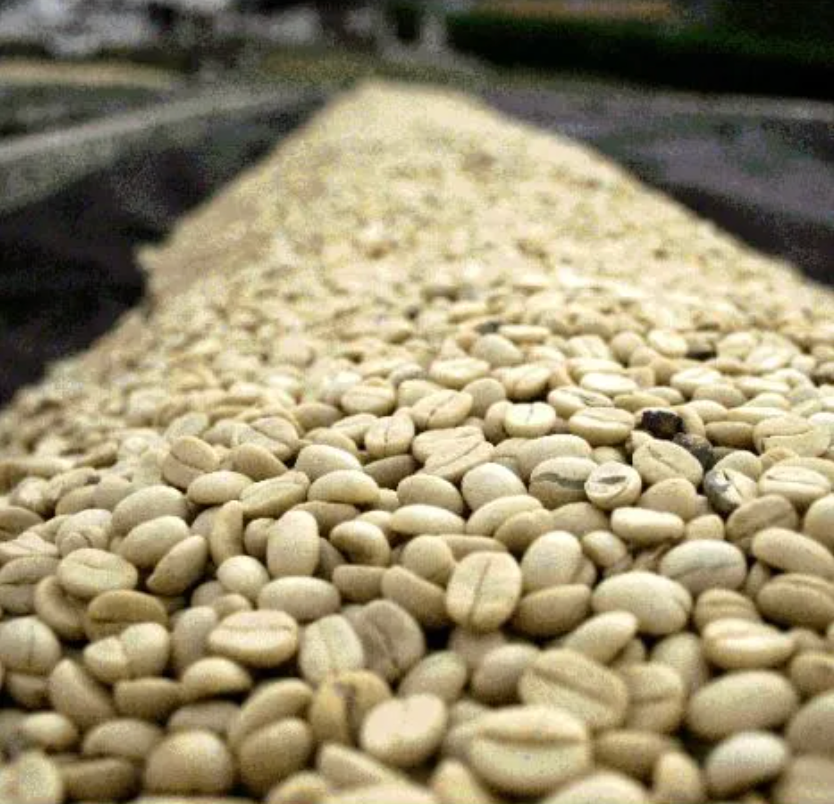 Tanzania AA Mondul Estate Washed