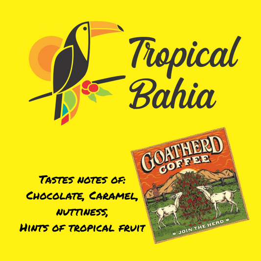 Brazil Tropical Bahia - GoatHerd Coffee