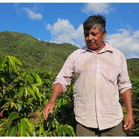 Colombia Finca El Plan Pacamara - GoatHerd Coffee