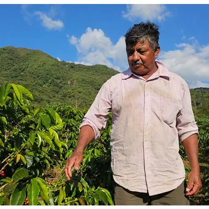 Colombia Finca El Plan Pacamara - GoatHerd Coffee