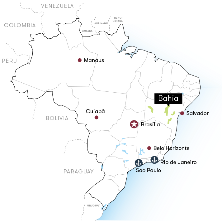 Brazil Tropical Bahia - GoatHerd Coffee