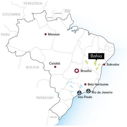 Brazil Tropical Bahia - GoatHerd Coffee