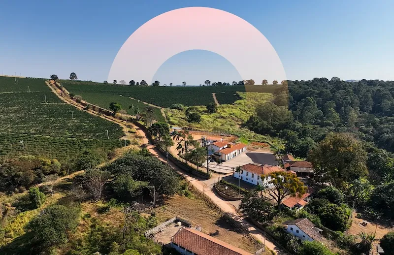 Signature Brazil - Rubens Correa