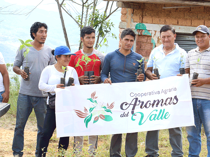 Peru Comunidad Queromarca