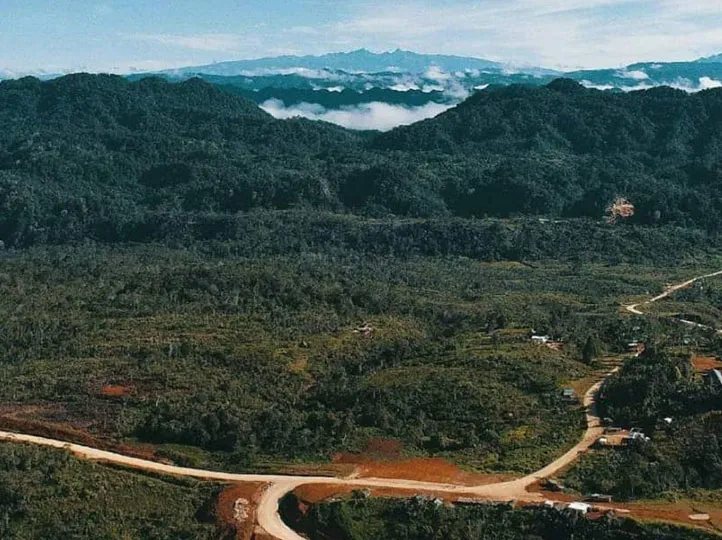 Papua New Guinea Okapa Washed