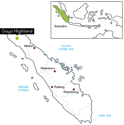 Indonesia Ara Cahayani Gayo – Wet Hulled