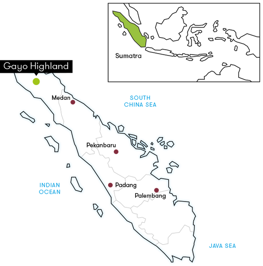 Indonesia Ara Cahayani Gayo – Wet Hulled