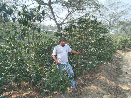 Honduras La Paz Montecillos - GoatHerd Coffee