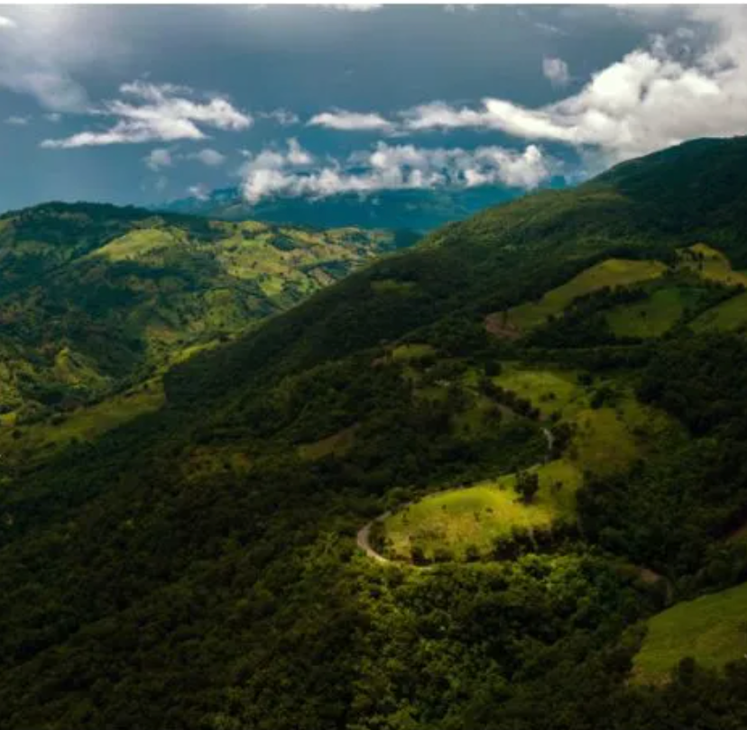 Mexico Seleccion Yajalon - GoatHerd Coffee
