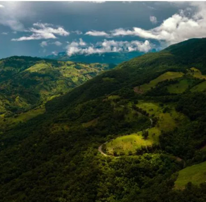 Mexico Seleccion Yajalon - GoatHerd Coffee